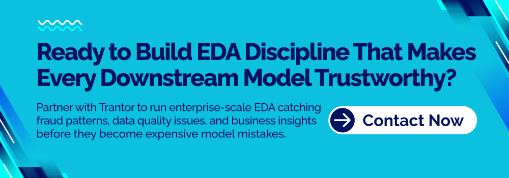 Enterprise exploratory data analysis services for identifying data quality issues, fraud patterns and actionable business insights